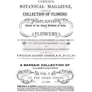 Botanical Magazine