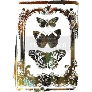Butterfly Frame Transfer