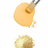 Fusion_Flat_Lay_Mod_Mustard_logo2